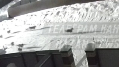 Более десятка бездомных собак заметили в казанском поселке &ndash; видео 21/01/2026 &ndash; Новости