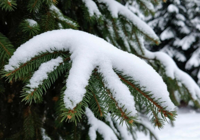 Снегопады ожидаются в среду в ряде регионов Казахстана