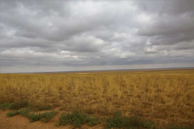 Фермеры Акмолинской области восстанавливают земли в рамках международного проекта