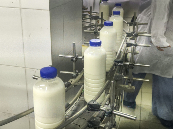 Свердловские заводы спасли от уничтожения тысячи тонн &laquo;карантинного&raquo; молока