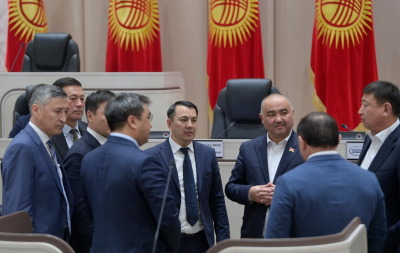 Кыргызский парламент пошёл за львом