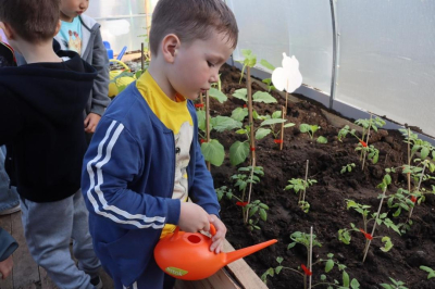 В Костанае открыли инклюзивную эко-теплицу для дошкольников
