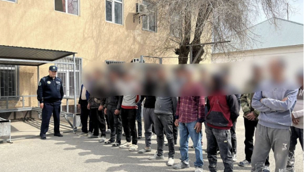 Более 270 иностранцев привлекли к ответственности за нарушения законодательства в Казахстане