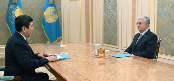 Глава государства принял Ерлана Кошанова