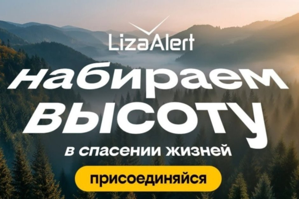 Билайн и &laquo;Группа Лента&raquo; запустили социальный видеоролик в поддержку &laquo;ЛизаАлерт&raquo; на экранах в магазинах