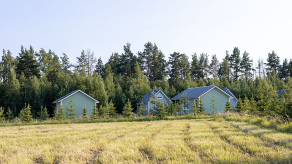 Новые правила использования земель объяснил Росреестр Татарстана 04/03/2026 &ndash; Новости