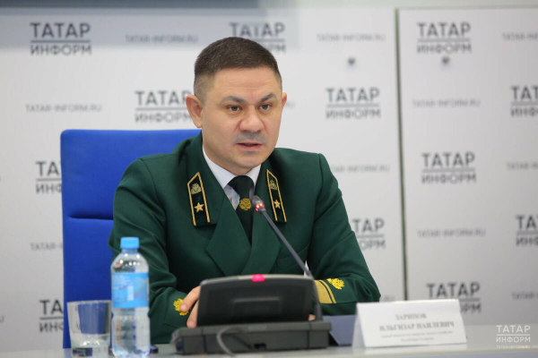 Минлесхоз РТ: В Татарстане не хватает около 100 мастеров леса