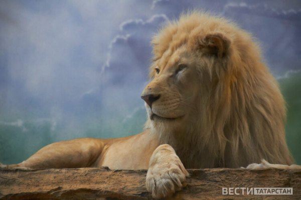 Сегодня студенты и Татьяны могут посетить Казанский зооботсад бесплатно