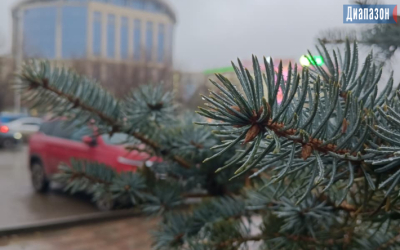 Погода в Актобе на 25-27 ноября