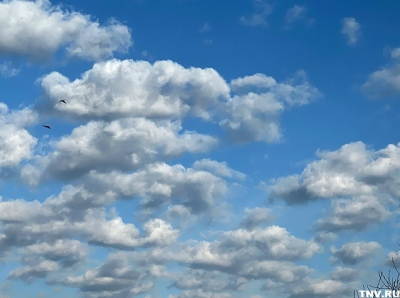 Утро в тумане, день под грозой: какая погода ждет татарстанцев в начале выходных