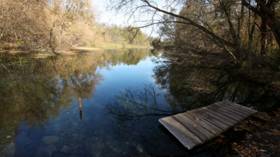 Лиза Алерт: каждое лето на водоемах гибнет около 600 детей 27/03/2026 &ndash; Новости