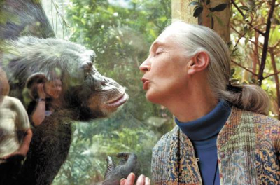 Как изучение обезьян изменило представление человека о самом себе