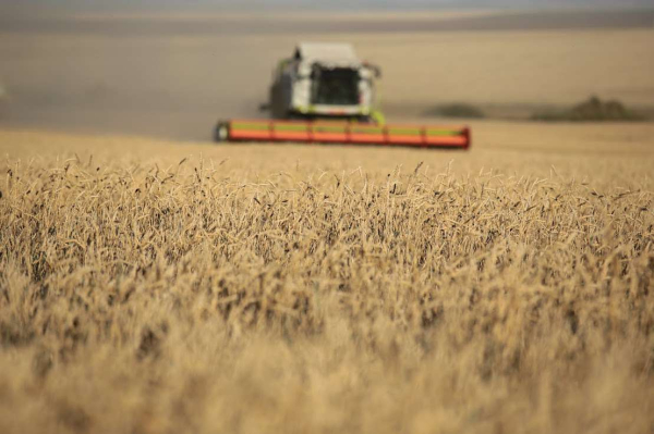 Национальная сельхозперепись: какие и сколько вопросов зададут казахстанцам